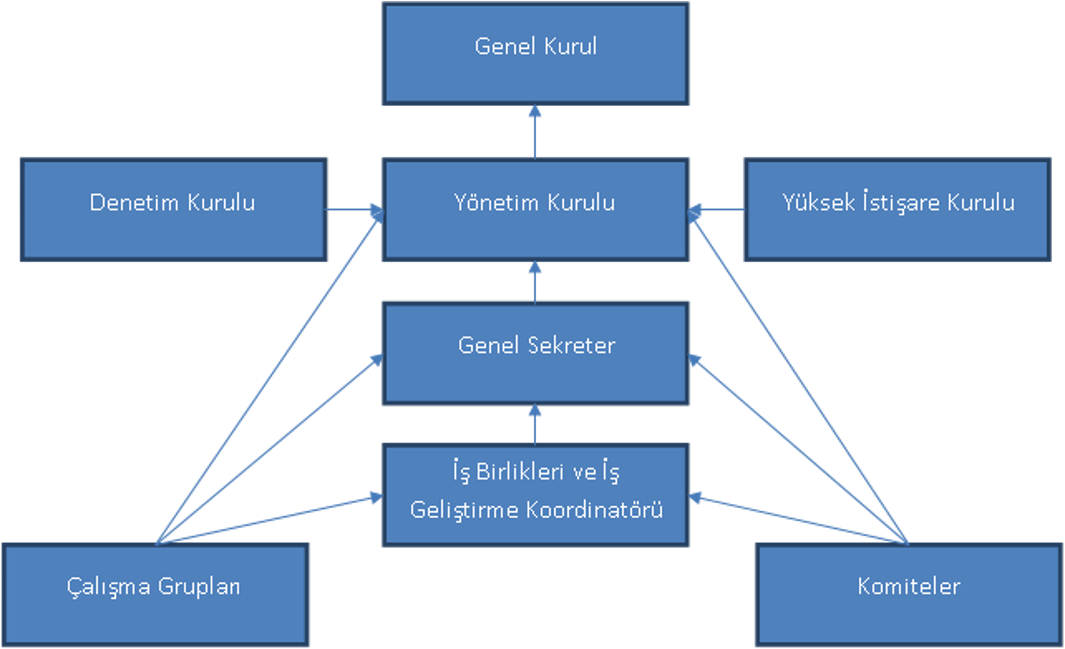 ORGANİZASYON YAPISI